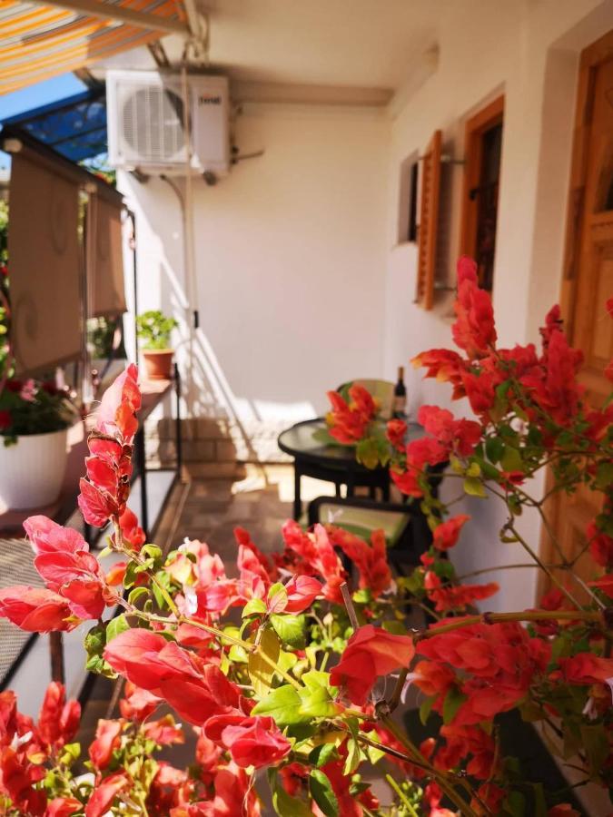 Apartmani Rita Studio Novigrad  Zewnętrze zdjęcie