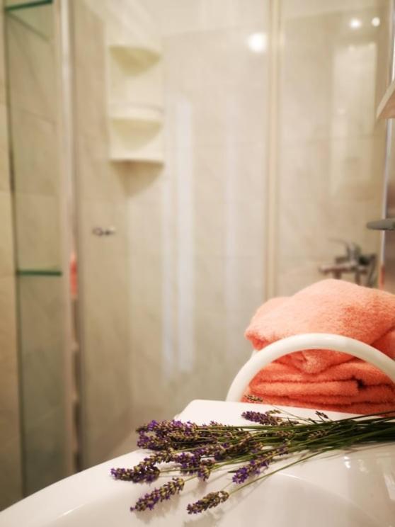 Apartmani Rita Studio Novigrad  Zewnętrze zdjęcie