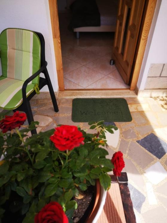 Apartmani Rita Studio Novigrad  Zewnętrze zdjęcie