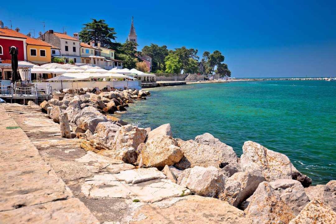Apartmani Rita Studio Novigrad  Zewnętrze zdjęcie