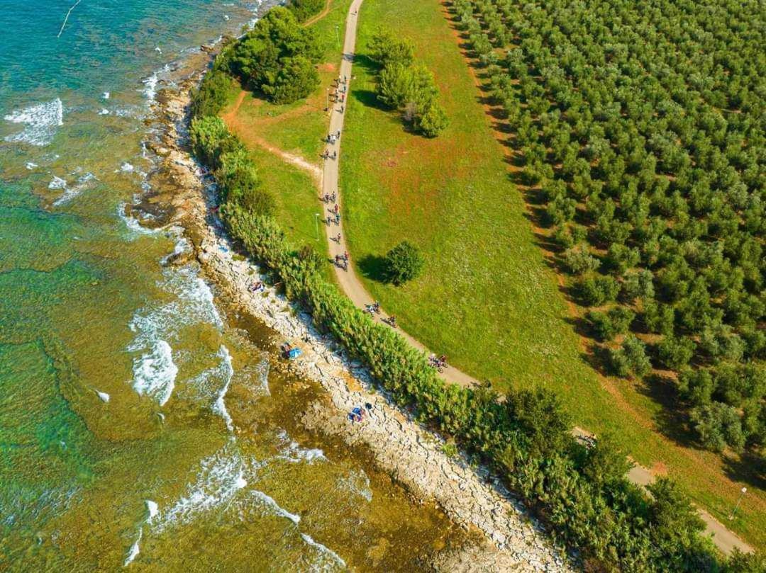Apartmani Rita Studio Novigrad  Zewnętrze zdjęcie