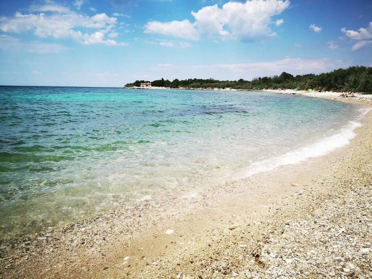 Apartmani Rita Studio Novigrad  Zewnętrze zdjęcie