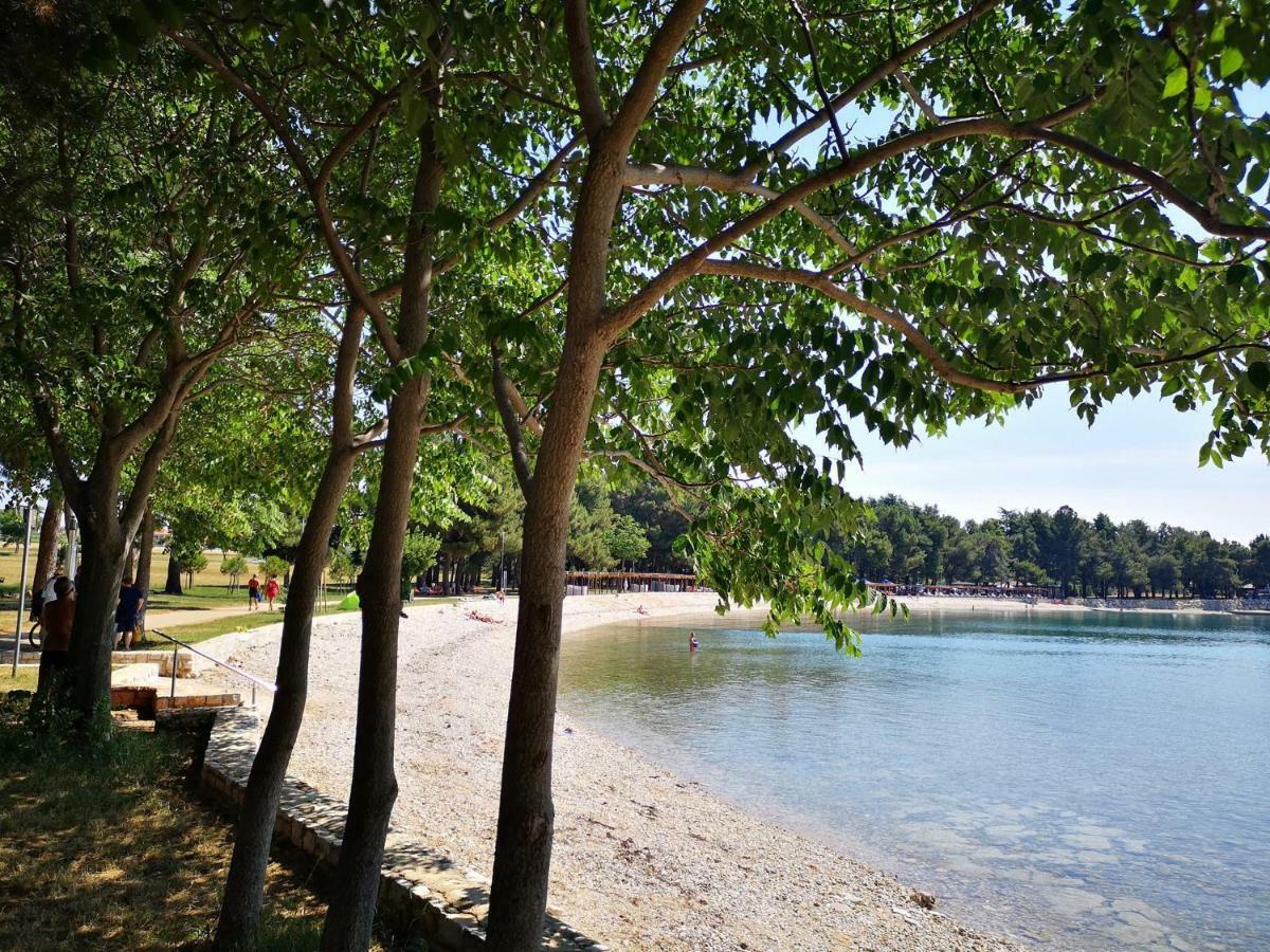 Apartmani Rita Studio Novigrad  Zewnętrze zdjęcie